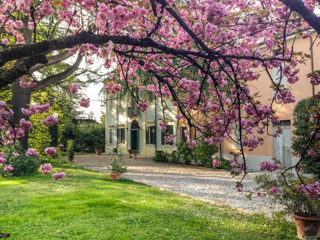 Corte Finzi Bed & Breakfast Sala Baganza Exterior photo